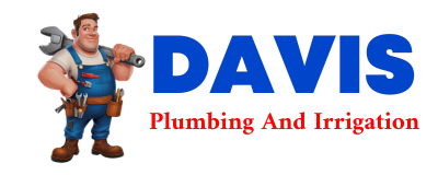 Trusted plumber in GIG HARBOR